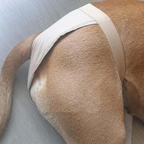Honprad feminina cão reutilizável lavável fisiológica hapsa de calça de calça de calça para pequenos e grandes