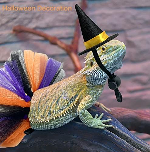 Vehomomy 4pcs Halloween barbund dragon witch traje dragon chapéu de bruxa tutu saias lizard hinterft