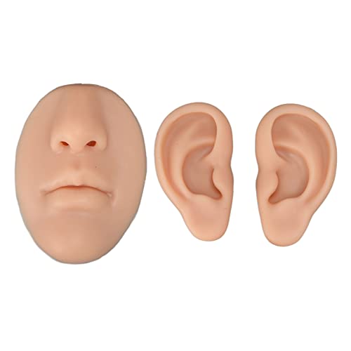 Modelo de orelha de silicone O nariz da boca da boca do corpo Kit 3D Ferramenta de ensino de suporte