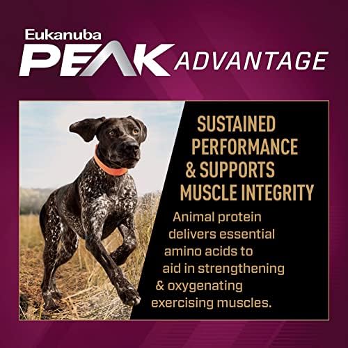 Eukanuba Performance Premium 30/20 Sport Dry Dog Food, 14 lb