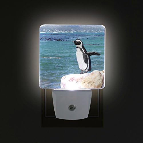 Naanle Conjunto de 2 Happy Penguin Stand On Rock Watch Blue Sea Water Ocean Sensor Auto Led Dusk