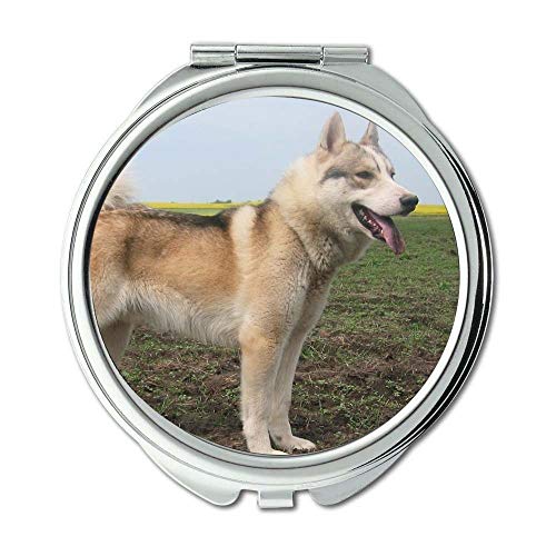 Espelho, espelho redondo, cachorro pug, espelho de bolso, ampliação de 1 x 2x