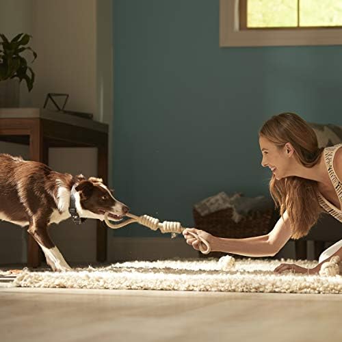 Franklin Pet Supply - Brinquedos de cachorro de corda natural - 4 pacote - Hemp -Play Fetch- Tugug of War - Dog