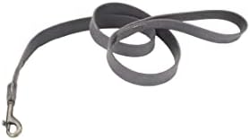 Coastal - Circle T - Coloque de cão de couro rústico coleira - ardósia cinza com hardware de latão