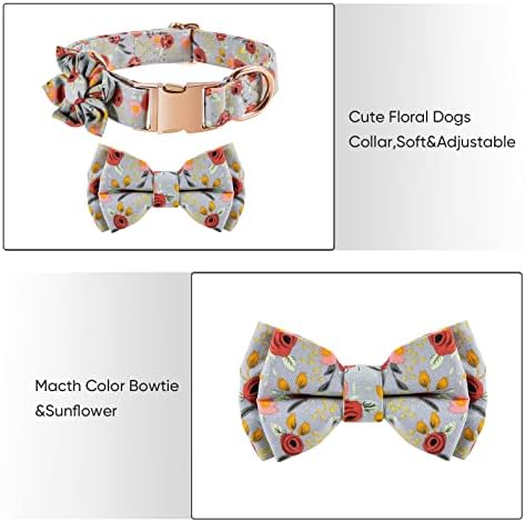 Cola de cães fofos com gravata borbole
