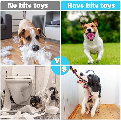 Lenbicki Puppy Toys Toys Dog Chew Toys 14 Pacote de filhote de cachorro Toys para divertir -se e limpar