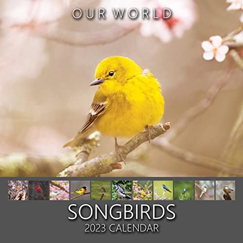 Nosso calendário mundial de parede de pássaros canoros 2023 - Planejador de família e organizador diário com o calendário