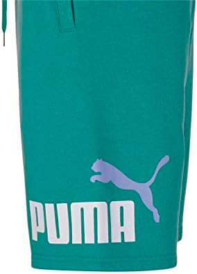 Puma Men's Big Logotipo de 10 shorts