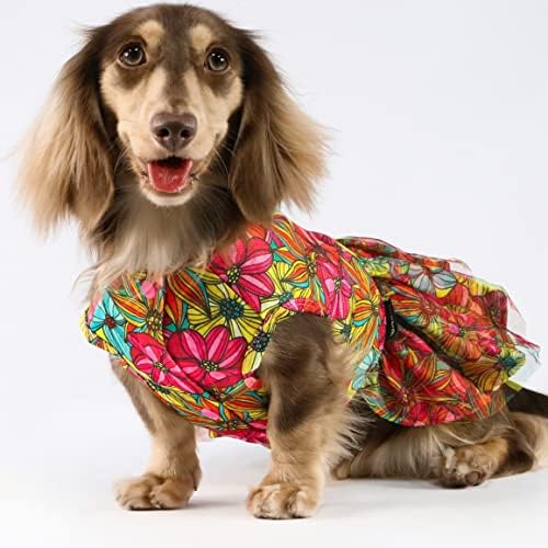 Vestido de tule de cão em fitwarm com coleira, roupas de cachorro florais para cães pequenos menina, vestuário