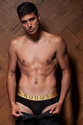 Nudus Men's Bamboo 2 bolsas de roupas íntimas - pacote de 4 resumos de caixa de presente - Brief