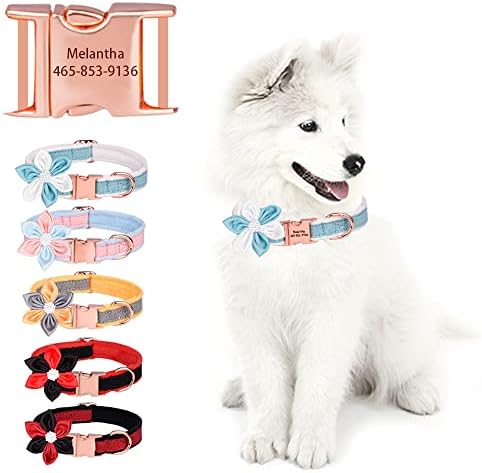 Aipnis personalizado colarinho de cachorro, personalizado com placa de identificação gravada, etiquetas
