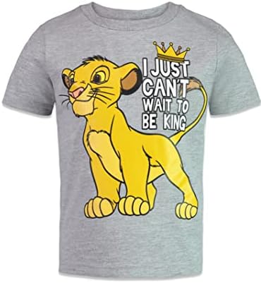 Disney Lion King Pumbaa Simba Camisetas gráficas infantis para garoto grande