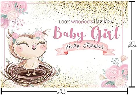 Aibiin Owl Baby Shower Backdrop Background para menina rosa ouro floral glitter baby menina chá de