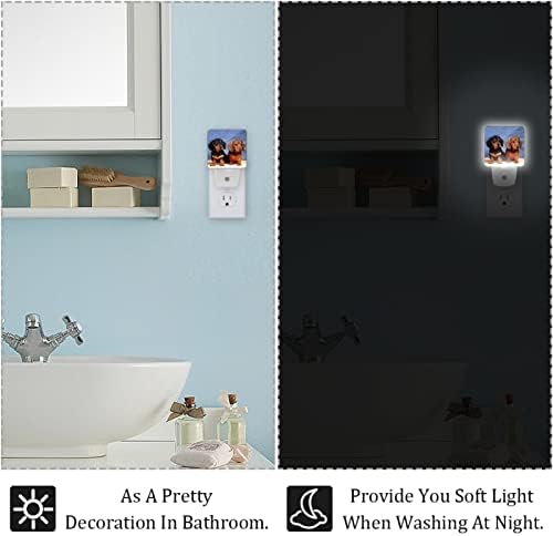 Evanlinsim Dachshunds Dog Night Light Plug in Set of 2, 0,5 W Luzes noturnas LED para crianças adultos meninos