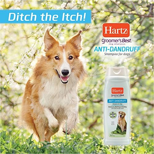 O melhor shampoo anti-casca de Hartz Groomer