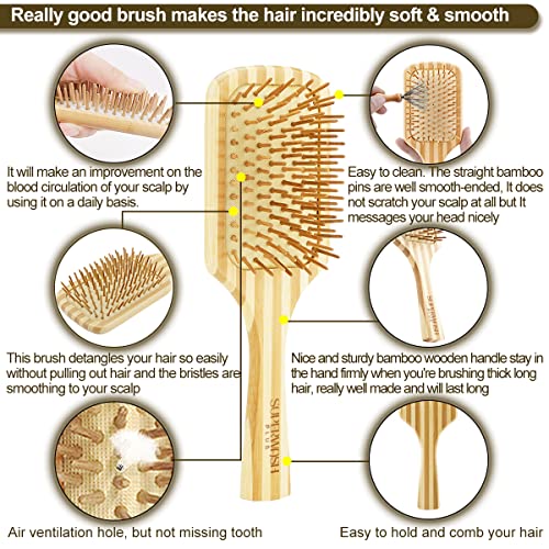 Escova de cabelo Conjunto para mulheres e homens, cerdas naturais de bambu de bambu molhado, removendo os pincéis