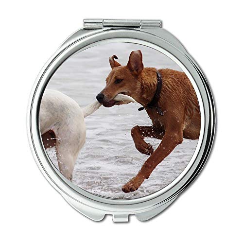 Espelho, espelho de viagem, cães de praia de animais, espelho de bolso, espelho portátil
