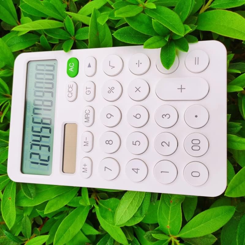 Calculadora de mesa de 12 dígitos de 12 dígitos BONGTN BOIM BONDROS FINANCEIROS FERRAMENTO DE