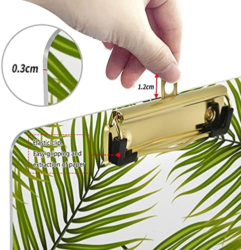 Palm Tropical Folhas de plástico CLIPBOABLE 9 X12.5 CLIPLICS ACRYLIC PROBLEMA COM PROGRAFIA DE LETRA DE LETRA DE