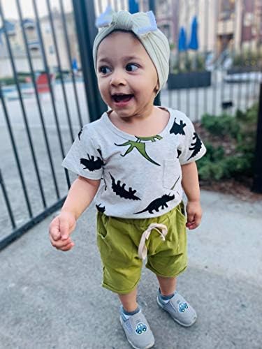 Roupa de menino para bebês meninos roupas de verão T-shirt de dinossauros e shorts Conjunto