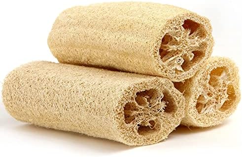 Palavra orgânica de esponja de esponja de pacote -corpão -Mochila de 3