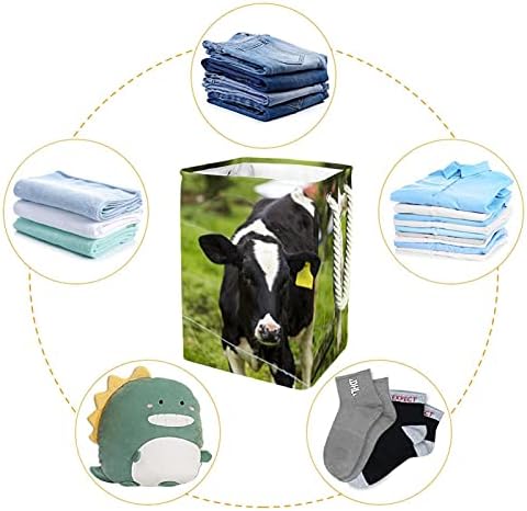 Bezerro inomer e jovens vacas lácteas grandes cestam roupas de roupas prejudiciais à prova d'água cesta de roupas