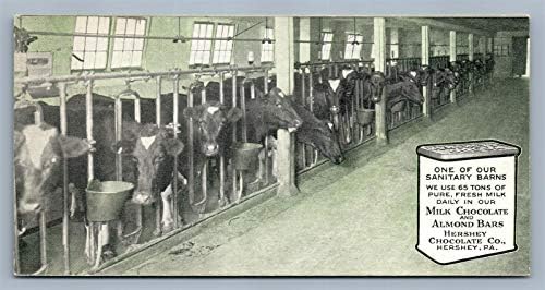 Hershey PA Company de chocolate celeiro Sanitário com vacas antigas postais