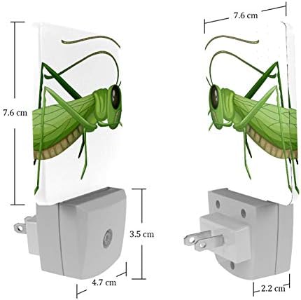 Grasshopper Grasshopper Locust Insect Imprimir plug-in LED Night Lâmpada de luz infantil Night Light com crepúsculo