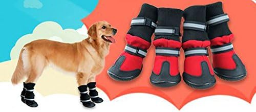 NoDog Chihuahua Chukka Rain Boots Shoes para cachorro cachorro PET 5 Tamanhos 2 cores