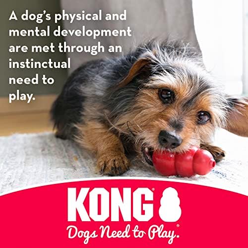 Kong - Bone Goodie de cachorro com corda - borracha de dentição, brinquedo para cães de limpeza de dentes - Para