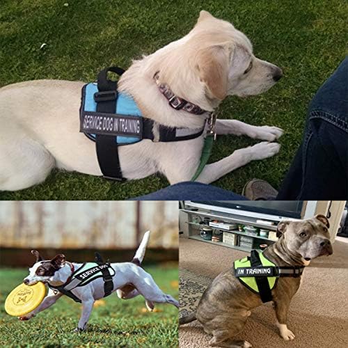 Homiego Service Dog em manchas de treinamento para colar de colete 2 manchas de cães de pacote gancho e loop de