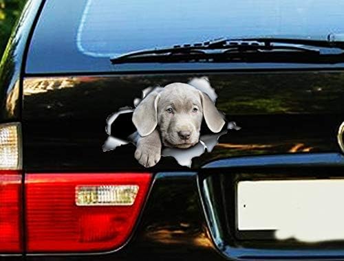 Silver Lab Puppy Car Decal