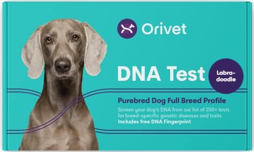 Kit de teste de DNA de cães Orivet - perfil de raça completa de Labradoodle | Testes de filhotes contra