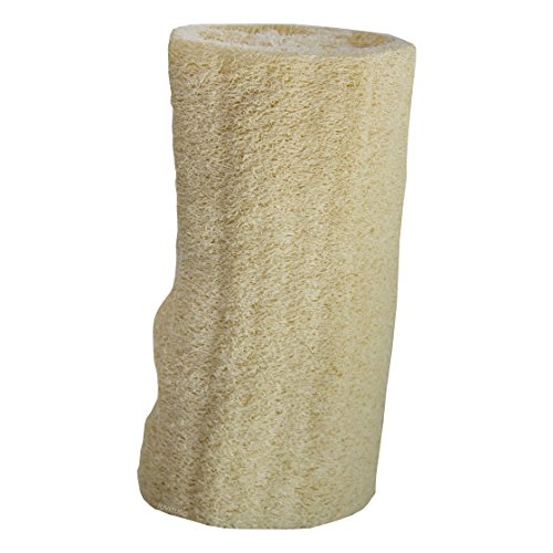 2 pacote de esponja de banho corporal de 6 polegadas