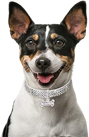 Corrente para colar colar de cachorro colar colarinho mini chique fofo bling chocker cão strass