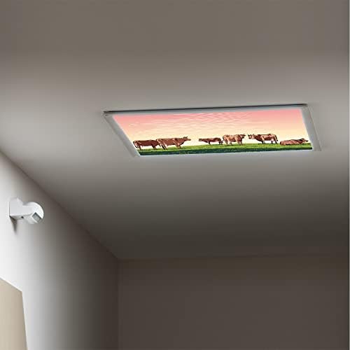Tampas de luz fluorescentes para o teto dos painéis de luminária de luminária de painéis de vaca-lutas-fluorescentes