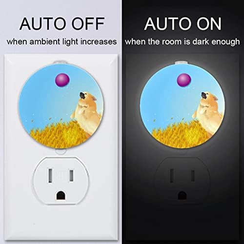 2 Pack Plug-in Nightlight LED Night Light com sensor de anoitecer para o amanhecer para o quarto de crianças, viveiro, cozinha, corredor fofo cachorro spitz cão jogando bola wheatfield