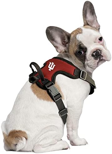 Littlearth Unissex-Adult NCAA Indiana Hoosiers Front Clip Pet Churness, Team Color, X-Large