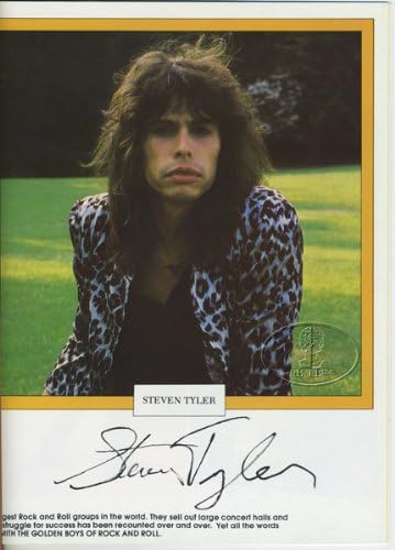 Aerosmith 1978 Bootleg Tour Concert Program Livro Steve Tyler Joe Perry