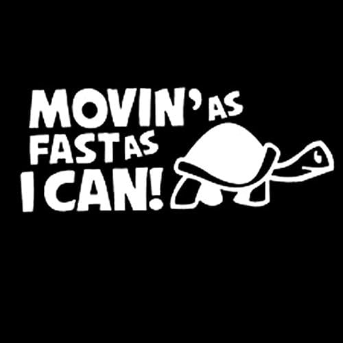 Descaldestinação Funny Slow Slow Car Turtle Decal