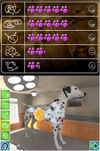 PATS PETS: Animal Doctor - Nintendo DS