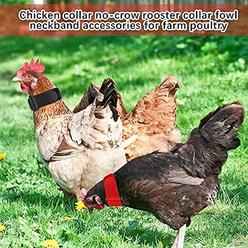 6 peças anti -corvo galo de galo anti -ruído nylon colar faixa de frango para impedir que as galinhas