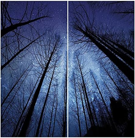 Cortina de blecaute do céu noturno, floresta seca galhos de árvores estreladas estrelas do amanhecer Imagem da paisagem de inverno, som absorvendo cortinas de blecaute para sala de jantar/decoração de festa, W42 x L84 polegada azul marinho e preto