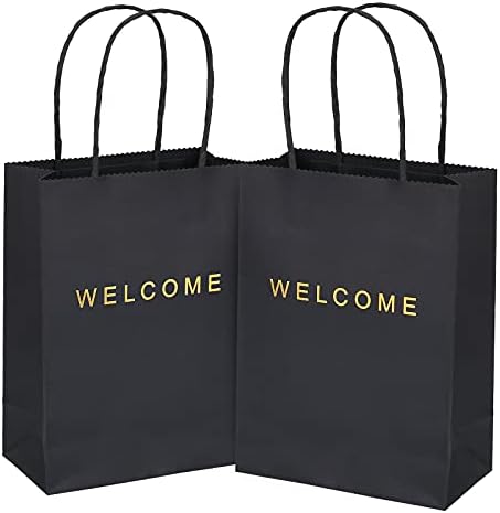 Druew Welcome Gift Sacols 20 pacote, 5,9 x 3,1 x 8,3 '' Back Sacos de papel com alças para trás sacos de presente para varejo, casamento, festa, compras