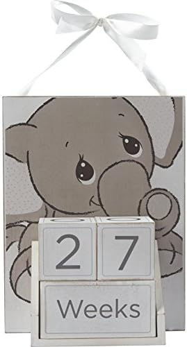 Momentos preciosos 172424 Elephant Baby Milestones Photo Prop Block Set & Wall Display