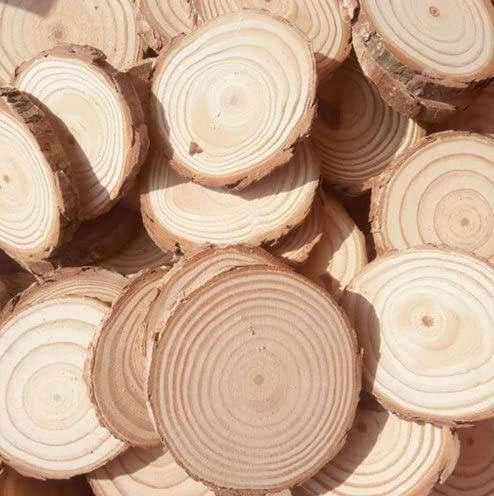 Fatias de madeira natural inacabadas 3,5-4 polegadas 20 PCs com círculos de árvore Circular