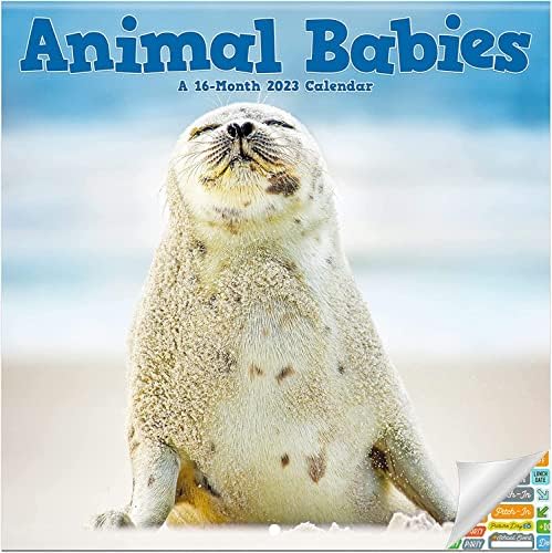 Calendário de bebês animais 2023 - Deluxe 2023 Animal Babies Mini Calendar Pacote com mais de 100 adesivos de calendário