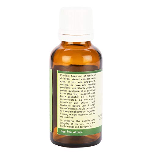 R V Essential Pure Lavandin Essential Oil 30ml - Lavandula hybrida